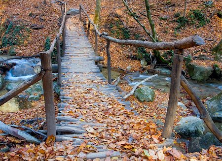 simsearch:400-07570603,k - Wooden bridge over brook in autumn forest Stock Photo - Budget Royalty-Free & Subscription, Code: 400-04777176