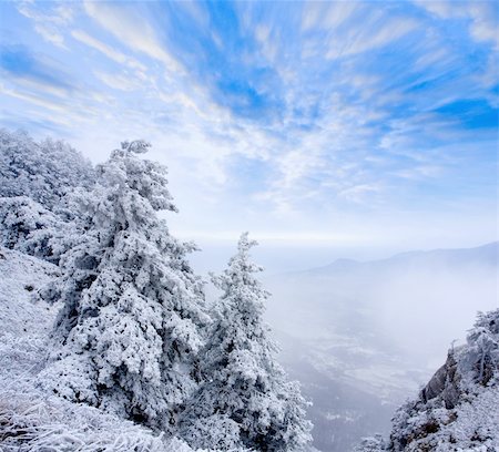 simsearch:400-04765849,k - Nice winter scene in mountains Foto de stock - Royalty-Free Super Valor e Assinatura, Número: 400-04777177