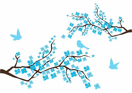 vector illustration of branches in blossom with blue flowers and birds Photographie de stock - Aubaine LD & Abonnement, Code: 400-04778101
