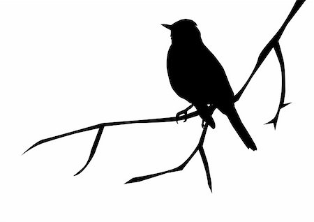simsearch:400-06087752,k - vector illustration of a black bird silhouette Photographie de stock - Aubaine LD & Abonnement, Code: 400-04778103