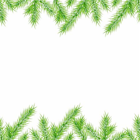 Fir branches on white background. Seamless horizontal pattern Stock Photo - Budget Royalty-Free & Subscription, Code: 400-04778693