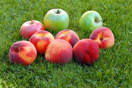 simsearch:400-07210105,k - red peaches and green apples in grass outdoor Foto de stock - Royalty-Free Super Valor e Assinatura, Número: 400-04770632