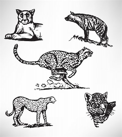 Set of different wildcats running silhouettes for design use Stock Photo - Budget Royalty-Free & Subscription, Code: 400-04771416