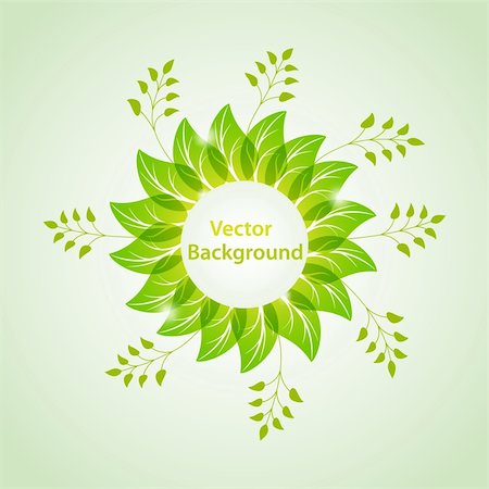 simsearch:400-04093390,k - Vector green background with leaves. No transparency Photographie de stock - Aubaine LD & Abonnement, Code: 400-04771998