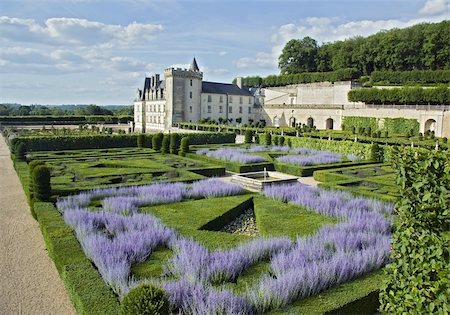 simsearch:400-05280468,k - Lavender in park of Chateau de Valencay Stock Photo - Budget Royalty-Free & Subscription, Code: 400-04772317