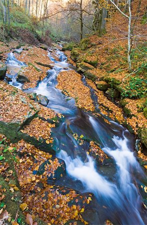 simsearch:400-05258981,k - Rocky Stream, Running Through Autumn Mountain Forest Stock Photo - Budget Royalty-Free & Subscription, Code: 400-04772575