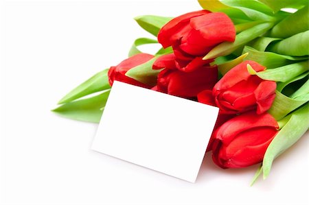 simsearch:400-04340566,k - beautiful red tulips on white Photographie de stock - Aubaine LD & Abonnement, Code: 400-04772838