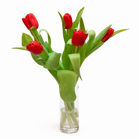 simsearch:400-05104344,k - beautiful red tulips in vase Foto de stock - Super Valor sin royalties y Suscripción, Código: 400-04773175