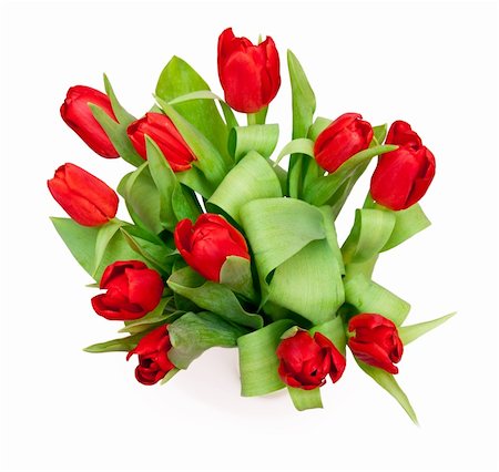 simsearch:400-04340566,k - bouquet of  beautiful red tulips Photographie de stock - Aubaine LD & Abonnement, Code: 400-04773178