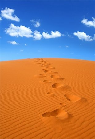 simsearch:400-04173967,k - walking on Sahara, Erg Chebbi, Morocco Fotografie stock - Microstock e Abbonamento, Codice: 400-04773200