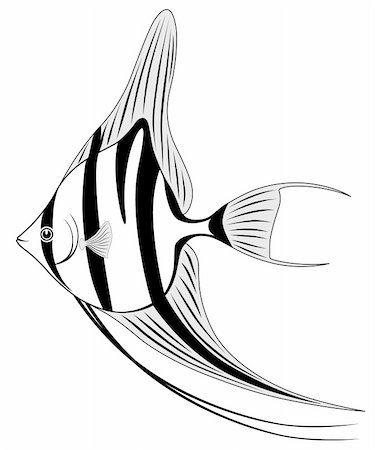 simsearch:625-01745239,k - Angel fish in the form of a tattoo Foto de stock - Super Valor sin royalties y Suscripción, Código: 400-04773428