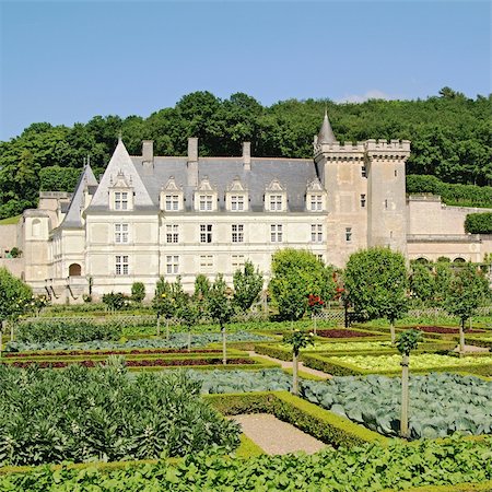 garden in  villandry, france Stock Photo - Budget Royalty-Free & Subscription, Code: 400-04773507