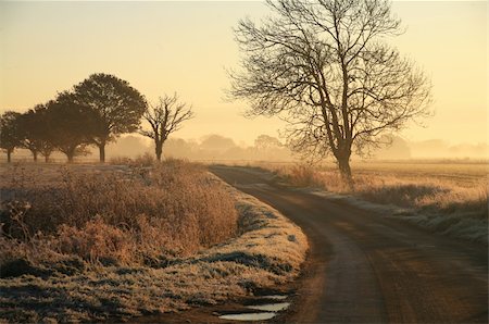 English Winter time in Norfolk Fotografie stock - Microstock e Abbonamento, Codice: 400-04773987