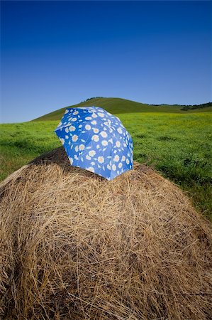 the umbrella and hay outdoor. Stock Photo - Budget Royalty-Free & Subscription, Code: 400-04784133