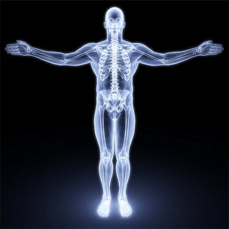 simsearch:400-04391285,k - male body under X-rays. 3d render Photographie de stock - Aubaine LD & Abonnement, Code: 400-04784350