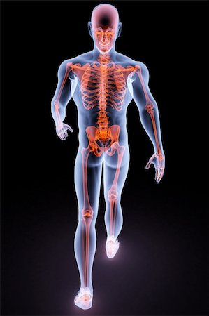 simsearch:400-04191168,k - walking man under X-rays. 3d render. Stock Photo - Budget Royalty-Free & Subscription, Code: 400-04784376