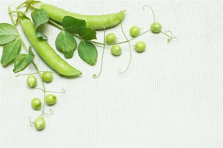 snap bean - Green peas composition on linen background Stock Photo - Budget Royalty-Free & Subscription, Code: 400-04785141