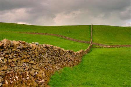 stone walls in meadows - Dry stones wall on the fields in Yorkshire Dales in Great Britain Stock Photo - Budget Royalty-Free & Subscription, Code: 400-04785229