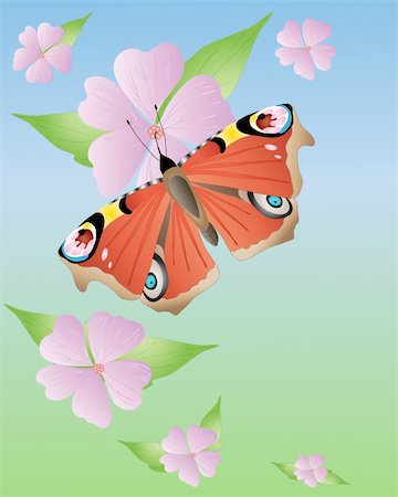 an illustration of a peacock butterfly with open wings on pink mallow flowers under a blue sky Foto de stock - Super Valor sin royalties y Suscripción, Código: 400-04785692