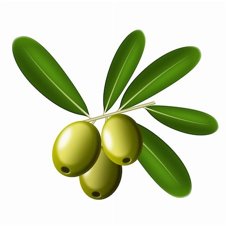 ruslan5838 (artist) - Illustration of olives on a white background Stock Photo - Budget Royalty-Free & Subscription, Code: 400-04785717