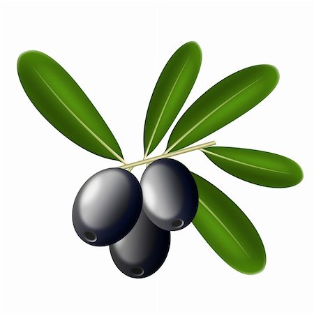 ruslan5838 (artist) - Illustration of olives on a white background Stock Photo - Budget Royalty-Free & Subscription, Code: 400-04785718
