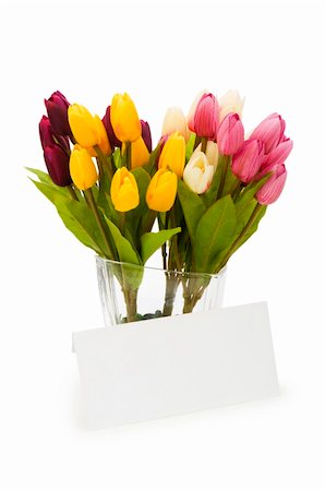 simsearch:400-05033064,k - Tulips and blank message isolated on white Foto de stock - Royalty-Free Super Valor e Assinatura, Número: 400-04786103