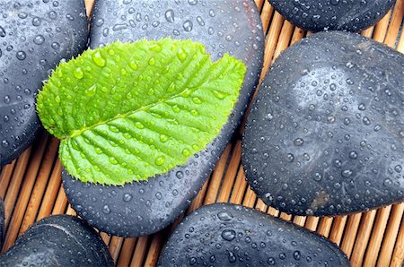 simsearch:400-04640528,k - zen stone with green leaf or water drops showing spa or wellness concept Stock Photo - Budget Royalty-Free & Subscription, Code: 400-04787976