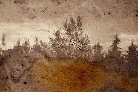 simsearch:400-04796257,k - Vintage stained photograph of trees in forest. Abstract illustration. Stock Photo - Budget Royalty-Free & Subscription, Code: 400-04788142