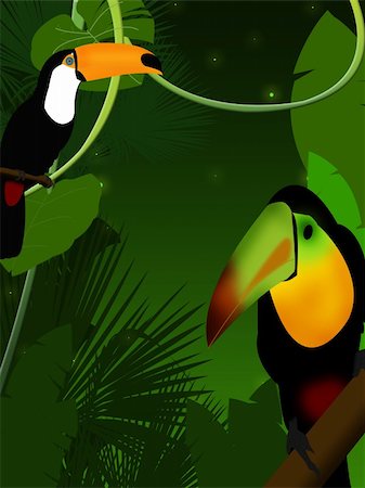 futura (artist) - Illustration of two tukans among jungle plants Stock Photo - Budget Royalty-Free & Subscription, Code: 400-04788187