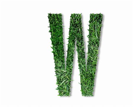 Letter designed as if being cut from grass Stock Photo - Budget Royalty-Free & Subscription, Code: 400-04788511