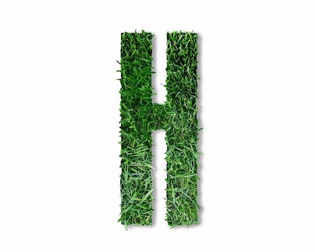 Letter designed as if being cut from grass Stock Photo - Budget Royalty-Free & Subscription, Code: 400-04788663