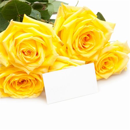 simsearch:400-06522703,k - roses with empty card Fotografie stock - Microstock e Abbonamento, Codice: 400-04788755