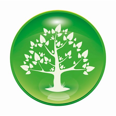 simsearch:400-05366140,k - a green glossy icon with a tree Fotografie stock - Microstock e Abbonamento, Codice: 400-04789040