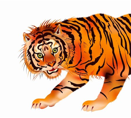 puma - Illustration of the  tiger - beast of prey - vector. This file is vector, can be scaled to any size without loss of quality. Foto de stock - Super Valor sin royalties y Suscripción, Código: 400-04789669