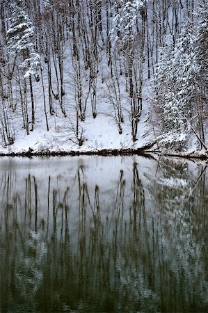Reflection of winter forest on the lake from Macedonia Stock Photo - Budget Royalty-Free & Subscription, Code: 400-04789780