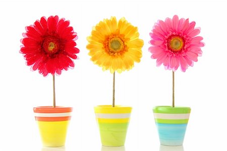happy spring flowers isolated on white background Stock Photo - Budget Royalty-Free & Subscription, Code: 400-04780110