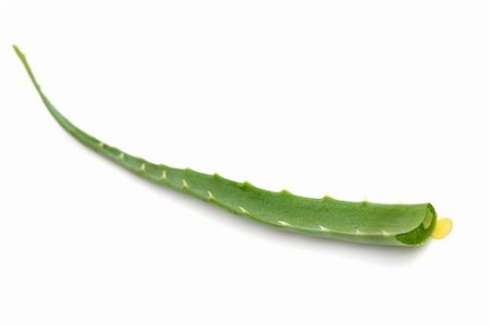 simsearch:400-08284120,k - Cut Aloe Vera leaf isolated on white Foto de stock - Super Valor sin royalties y Suscripción, Código: 400-04780409