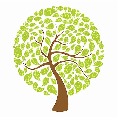 simsearch:400-05901134,k - illustration of natural tree on white background Stock Photo - Budget Royalty-Free & Subscription, Code: 400-04781453