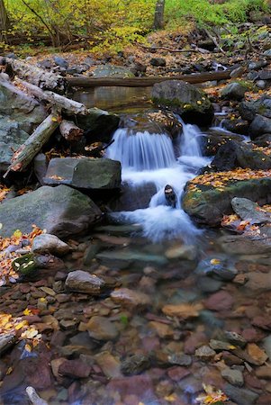 simsearch:400-05258981,k - Autumn creek closeup with yellow maple trees and foliage on rocks in forest with tree branches. Stock Photo - Budget Royalty-Free & Subscription, Code: 400-04782231