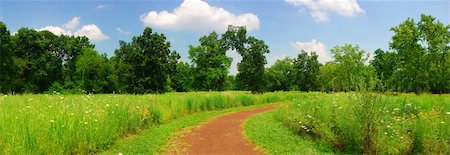 forest path panorama - Quiet rural trail panorama with trees, grass and blue cloudy sky. Stock Photo - Budget Royalty-Free & Subscription, Code: 400-04782250