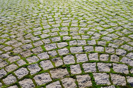 simsearch:700-02990008,k - This photograph represent a cobblestone with grass bricks showing perspective. Foto de stock - Royalty-Free Super Valor e Assinatura, Número: 400-04794180