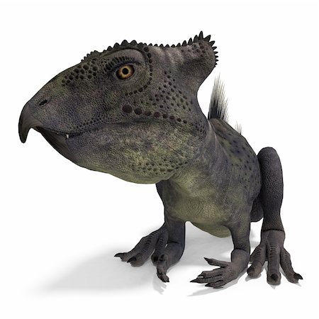 simsearch:400-04818670,k - Dinosaur Archaeoceratops. 3D rendering with clipping path and shadow over white Foto de stock - Royalty-Free Super Valor e Assinatura, Número: 400-04794665