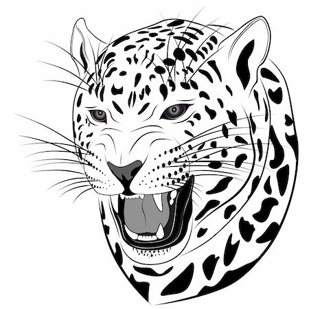 flankerd (artist) - Leopard executed in the form of a tattoo Stockbilder - Microstock & Abonnement, Bildnummer: 400-04795094