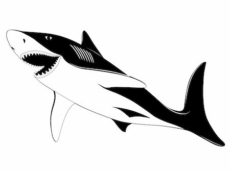 flankerd (artist) - Shark in the form of a tattoo Stockbilder - Microstock & Abonnement, Bildnummer: 400-04795122