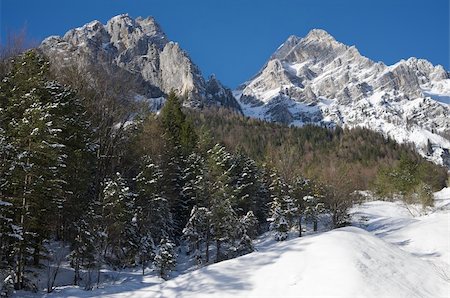 Alpine environment with high peaks and snow. Pictures taken near Vrata, Mojstrana, Slovenija. Photographie de stock - Aubaine LD & Abonnement, Code: 400-04795275