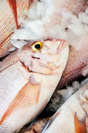 Fresh Red Snapper, market of Madeira, Portugal Stock Photo - Budget Royalty-Free & Subscription, Code: 400-04795853