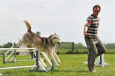 simsearch:400-05887877,k - siberian husky and man in a competition of agility Photographie de stock - Aubaine LD & Abonnement, Code: 400-04796020