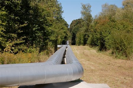 A gray pipeline crossing an  old forest Stock Photo - Budget Royalty-Free & Subscription, Code: 400-04796115