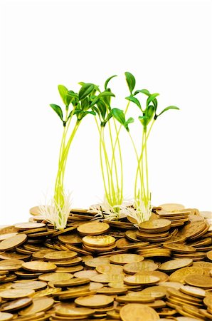 simsearch:400-06860365,k - Green seedling growing from the pile of coins Stock Photo - Budget Royalty-Free & Subscription, Code: 400-04796844