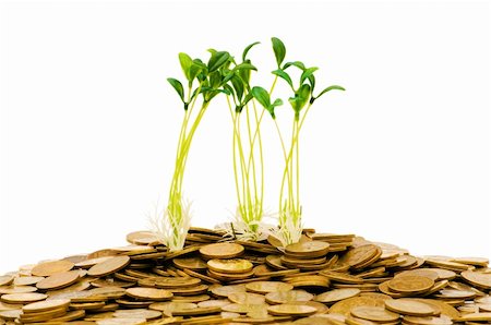 simsearch:400-06860365,k - Green seedling growing from the pile of coins Stock Photo - Budget Royalty-Free & Subscription, Code: 400-04796845